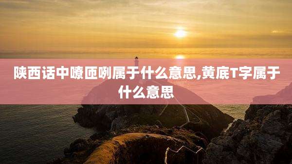 陕西话中嘹匝咧属于什么意思,黄底T字属于什么意思