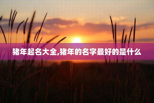 猪年起名大全,猪年的名字最好的是什么