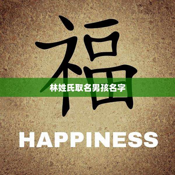 林姓氏取名男孩名字