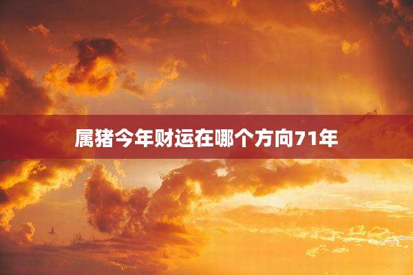 属猪今年财运在哪个方向71年