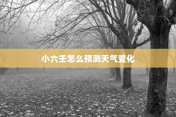 小六壬怎么预测天气变化
