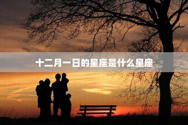 十二月一日的星座是什么星座