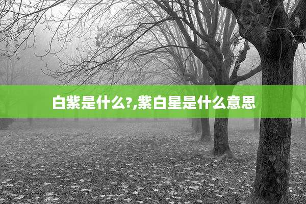 白紫是什么?,紫白星是什么意思