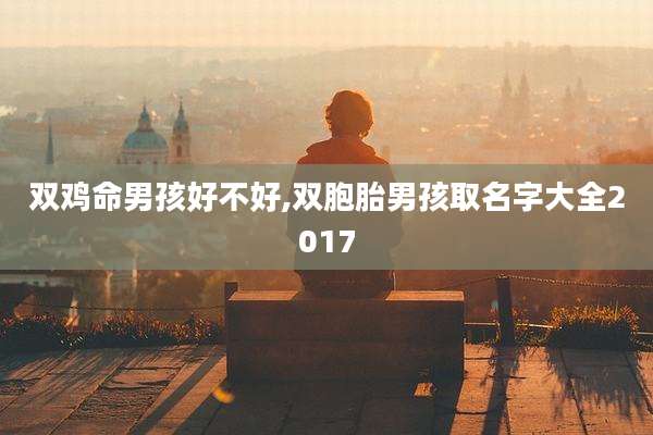 双鸡命男孩好不好,双胞胎男孩取名字大全2017