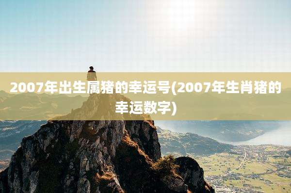 2007年出生属猪的幸运号(2007年生肖猪的幸运数字)