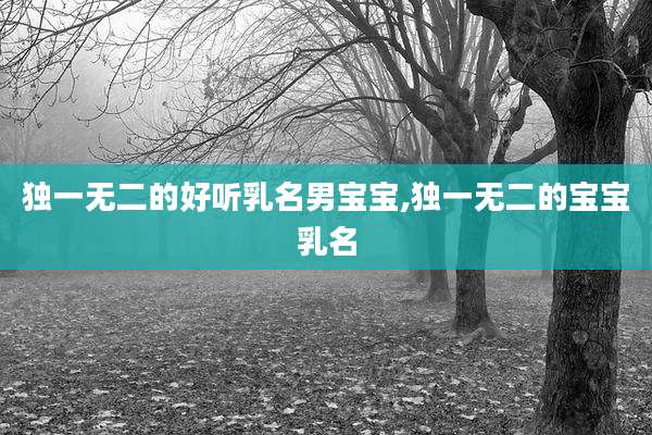 独一无二的好听乳名男宝宝,独一无二的宝宝乳名