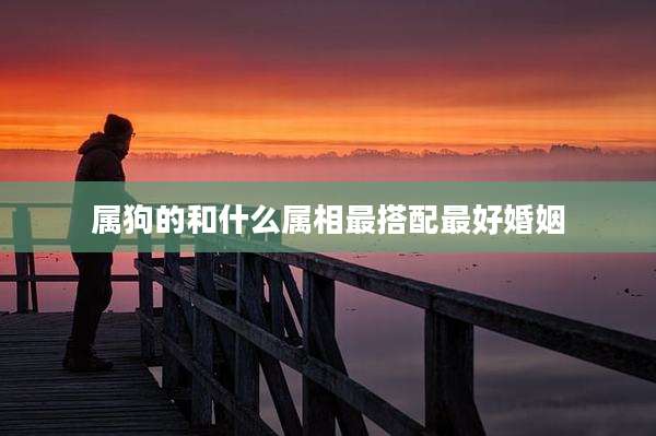 属狗的和什么属相最搭配最好婚姻