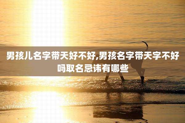 男孩儿名字带天好不好,男孩名字带天字不好吗取名忌讳有哪些