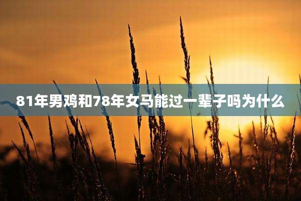 81年男鸡和78年女马能过一辈子吗为什么