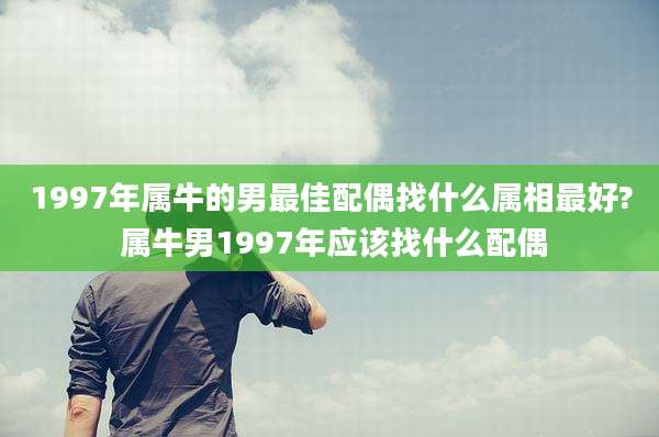 1997年属牛的男最佳配偶找什么属相最好? 属牛男1997年应该找什么配偶