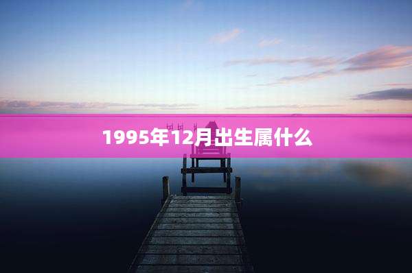 1995年12月出生属什么