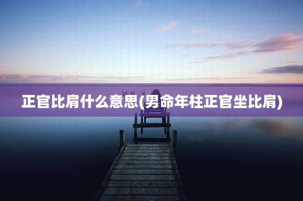 正官比肩什么意思(男命年柱正官坐比肩)