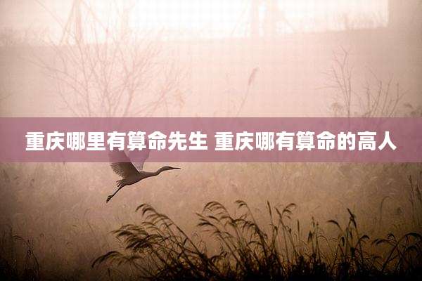 重庆哪里有算命先生 重庆哪有算命的高人