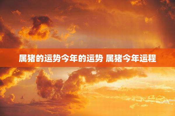 属猪的运势今年的运势 属猪今年运程