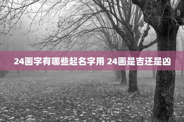 24画字有哪些起名字用 24画是吉还是凶