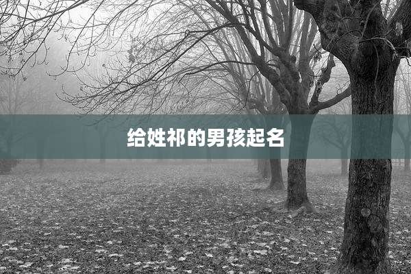 给姓祁的男孩起名