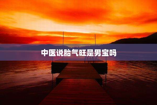 中医说胎气旺是男宝吗