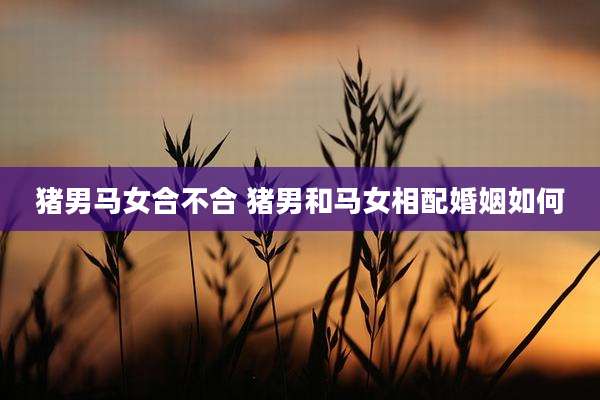 猪男马女合不合 猪男和马女相配婚姻如何