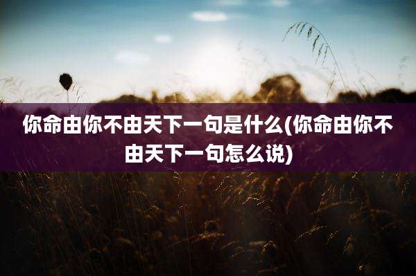 你命由你不由天下一句是什么(你命由你不由天下一句怎么说)