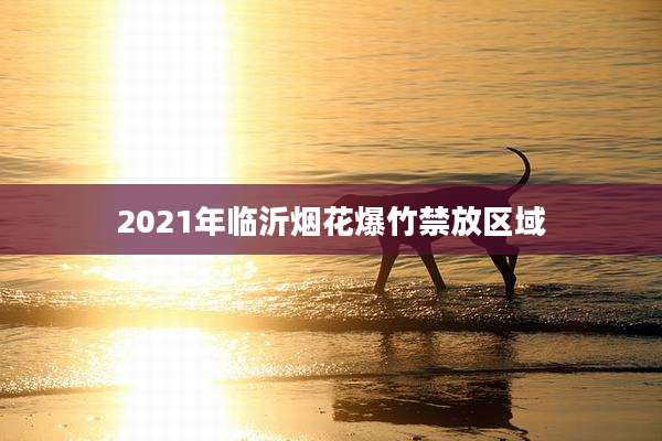 2021年临沂烟花爆竹禁放区域