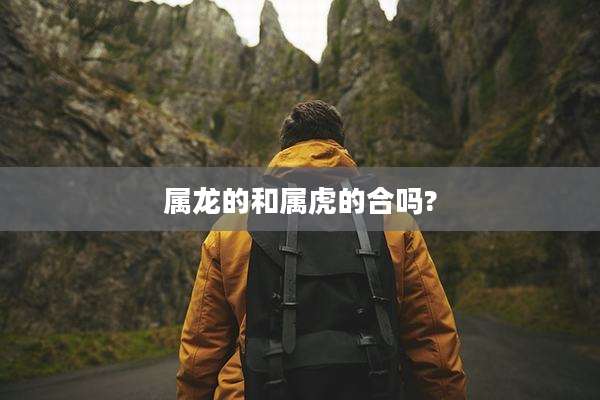 属龙的和属虎的合吗?