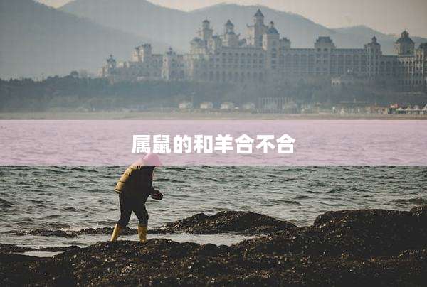 属鼠的和羊合不合