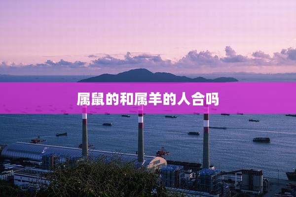 属鼠的和属羊的人合吗