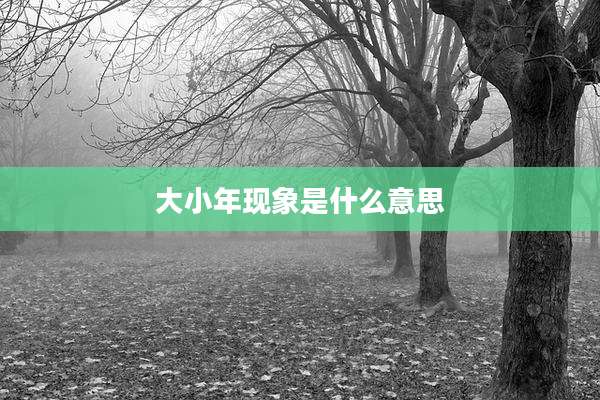 大小年现象是什么意思