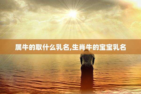 属牛的取什么乳名,生肖牛的宝宝乳名