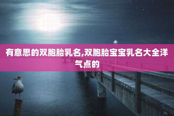 有意思的双胞胎乳名,双胞胎宝宝乳名大全洋气点的