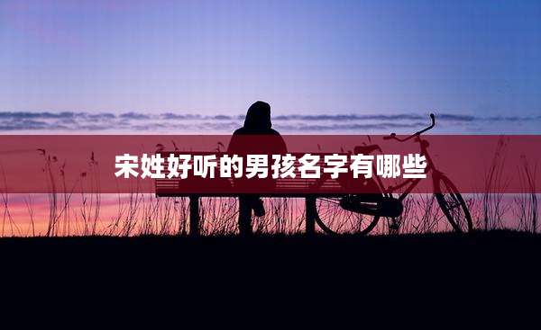 宋姓好听的男孩名字有哪些