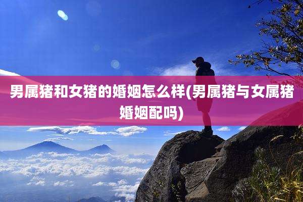 男属猪和女猪的婚姻怎么样(男属猪与女属猪婚姻配吗)