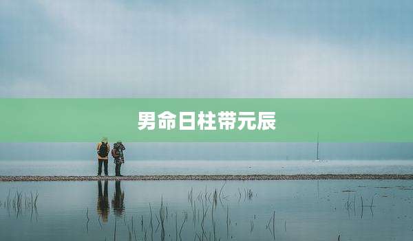 男命日柱带元辰