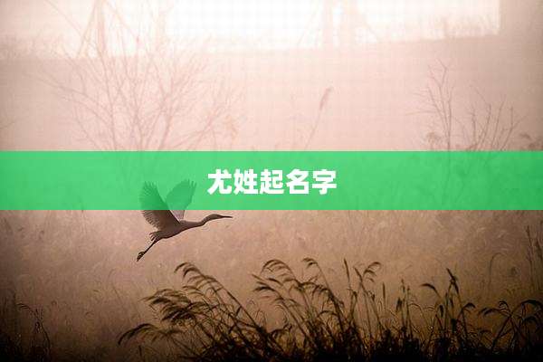 尤姓起名字