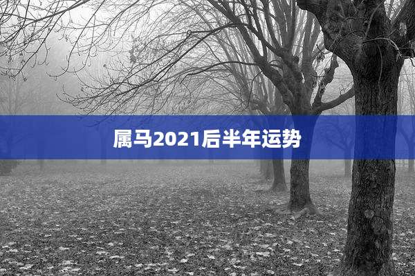 属马2021后半年运势