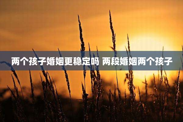 两个孩子婚姻更稳定吗 两段婚姻两个孩子