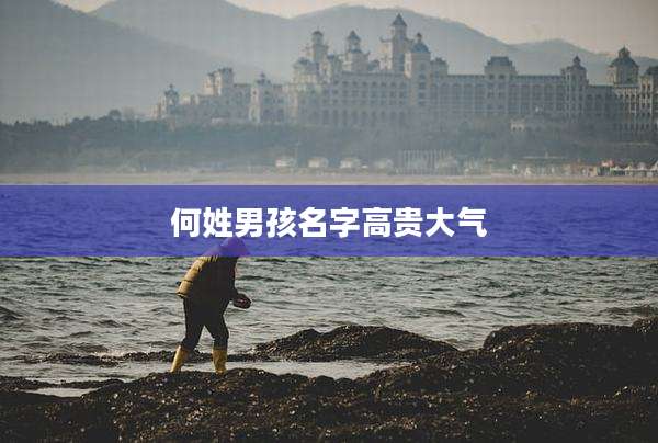 何姓男孩名字高贵大气