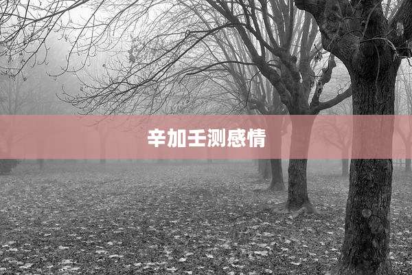 辛加壬测感情