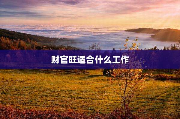财官旺适合什么工作
