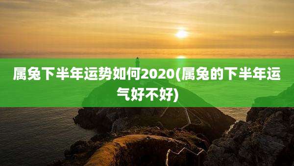 属兔下半年运势如何2020(属兔的下半年运气好不好)