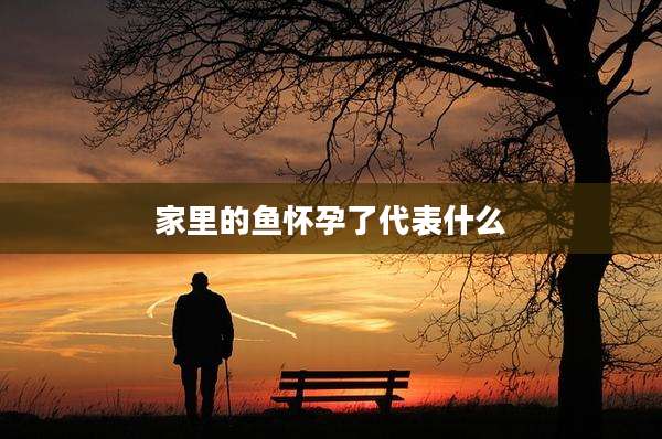 家里的鱼怀孕了代表什么