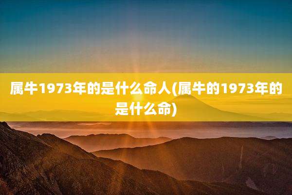 属牛1973年的是什么命人(属牛的1973年的是什么命)