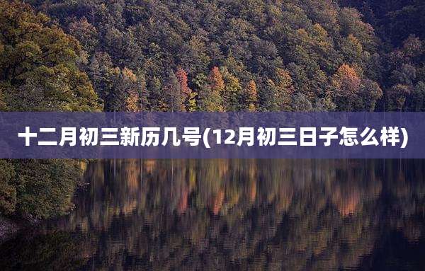 十二月初三新历几号(12月初三日子怎么样)
