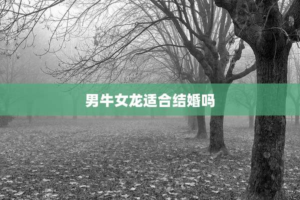 男牛女龙适合结婚吗