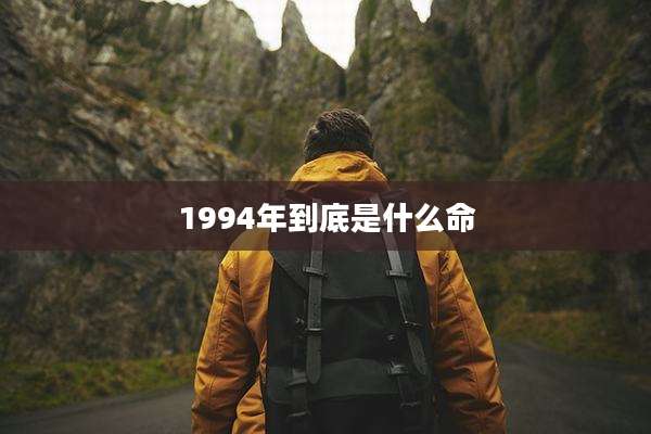1994年到底是什么命