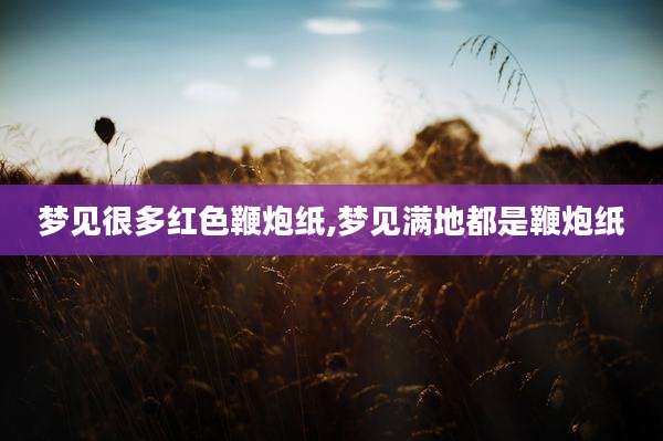 梦见很多红色鞭炮纸,梦见满地都是鞭炮纸