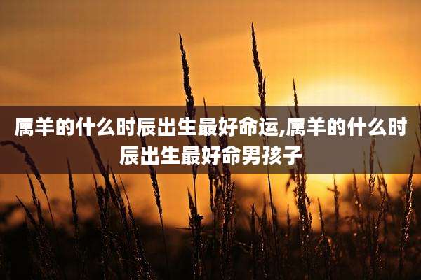 属羊的什么时辰出生最好命运,属羊的什么时辰出生最好命男孩子