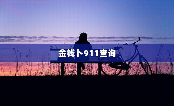 金钱卜911查询