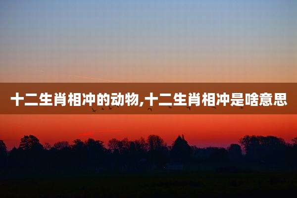 十二生肖相冲的动物,十二生肖相冲是啥意思
