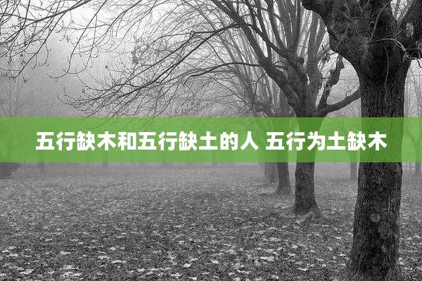 五行缺木和五行缺土的人 五行为土缺木